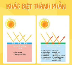 Kem chống nắng: Top 15 loại hiệu quả và được yêu thích nhất