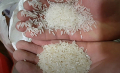 Kính hiển vi bóc trần thành phần của nước vo gạo rửa mặt, chị em xem xong phải nghĩ lại