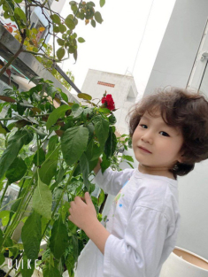 Lâm Khánh Chi xin trứng nhờ người đẻ hộ, đứa trẻ giờ đẹp bất phân thắng bại với bố
