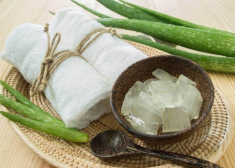 Loại bỏ vùng xỉn màu nhanh chóng với những cách làm trắng da toàn thân bằng nha đam siêu dễ