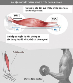 Quay lại phòng tập sau giãn cách, làm sao để giảm bớt triệu chứng đau cơ