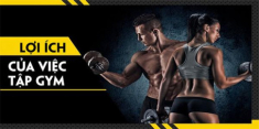 Tập Gym: Hướng dẫn cách tập gym, lịch tập và chế độ ăn uống khoa học