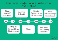 Thực đơn ăn dặm cho bé 7 tháng tuổi đủ dưỡng chất tăng cân hiệu quả