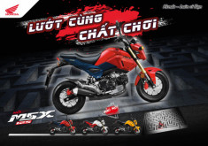 MSX 125 2020 chính thức ra mắt với diện mạo mới đầy cá tính