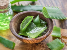 Nha đam có tác dụng gì với da mặt và làm đẹp ?