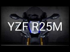 Yamaha sẵn sàng cho dự án R25M để đánh bại ZX-25R?