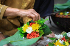 Bàn thờ cuối năm nên đặt loại cây này, sang năm gia chủ phất lên như diều gặp gió