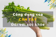 Cách sử dụng cần tây giảm cân an toàn khoa học hiệu quả