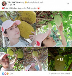 Nhà Celeb: Nhà vườn 2.500m2 của Việt Trinh xum xuê cây quả, trồng cả ngô, cà... toàn thứ dân dã