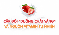 04 điều khiến sữa dinh dưỡng Smarta Grow trái cây chinh phục cộng đồng mẹ và bé Việt Nam