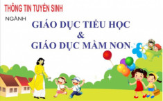 Chuyển ĐỔi Mọi Văn bằng học Mầm non Tiểu học