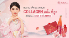 Hướng dẫn lựa chọn Collagen phù hợp để làn da luôn khỏe mạnh