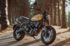 Lộ tin Ducati Scrambler 1100 Tribute Pro 2022 sắp về Việt Nam