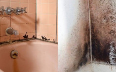 Phòng tắm là “điểm yếu” phong thuỷ trong nhà, biết lý do bạn sẽ không dám để nó ẩm ướt
