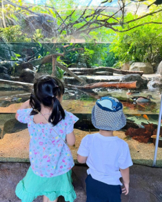 Vợ chồng Hoa hậu Đặng Thu Thảo đưa hai con du lịch nước ngoài, bé gái ấn tượng vì chân dài miên man