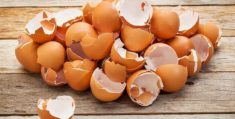 Đừng vứt vỏ trứng đi mà hãy ném vào ấm điện, một lúc sau điều bất ngờ sẽ xảy ra