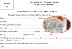 Hướng dẫn cách làm lại bằng lái A1,A2 khi vô tình làm mất