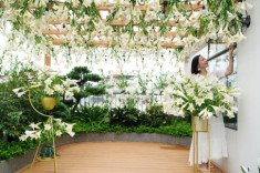 Mẹ đảm Hà Nội vác 2000 bông hoa loa kèn lên tầng 4, biến ban công thành vườn hoa đẹp mê ly