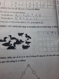 Mẹ hỏi cách làm Toán lớp 1 của con: “4 5=9” hay “3 6=9” mới đúng, đáp án không ai ngờ được