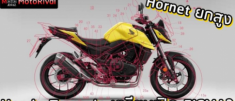 Honda Transalp sẽ dựa trên cơ sở Hornet 2023?