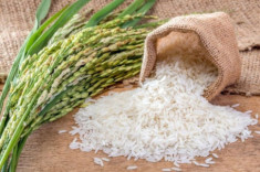Đặt thùng gạo nhớ nguyên tắc “2 kín – 1 đầy” giúp tụ lộc gấp trăm, cả năm no đủ