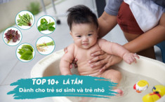 Top 10 lá tắm dành cho trẻ sơ sinh và trẻ nhỏ