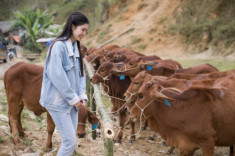 Mỹ nhân chăn bò đẹp như tiên nữ, thì ra từng đạt giải Á hậu cấp quốc gia