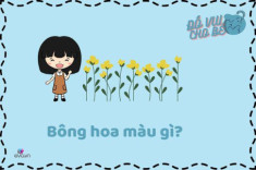 Bài đố vui trí thông minh nhận biết màu sắc cho trẻ 1-3 tuổi