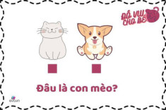 Nhận diện con vật qua 10 câu đố vui cho trẻ từ 3-6 tuổi