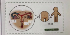 Vô tình mở cuốn sách của con trai lớp 4, mẹ ngại đỏ mặt khi nhìn thấy thứ trong đó