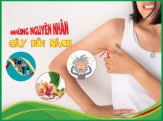 18 Cách trị hôi nách tận gốc tại nhà an toàn hiệu quả từ nguyên liệu tự nhiên