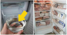 Đặt bát nước vào tủ lạnh, điều kỳ diệu xảy ra khi bạn nhận hóa đơn tiền điện vào cuối tháng