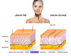 5 nguồn tăng sinh collagen bình dân, giúp làn da “tái sinh”, U40 học theo chồng khen đẹp, bạn bè xin bí quyết