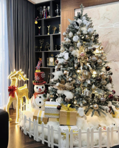 Nghỉ việc ở Nhà hát đi bán xe, Hồng Đăng vẫn hạnh phúc tự tay decor “góc sống ảo” trong nhà đón Noel