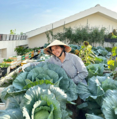 Ở xứ “Tây Ninh nắng cháy da người”, bà mẹ 2 con vẫn có vườn rau xanh tốt quanh năm trên sân thượng