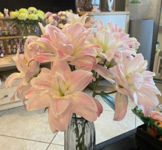 Trồng 6 loại hoa này trong nhà không tốt, đừng để vẻ đẹp của nó mê hoặc