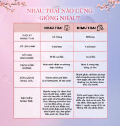 Nhau thai ngựa nguyên chất Pure Placenta - Siêu hoạt chất làm đẹp toàn diện cho phụ nữ giữ mãi tuổi xuân