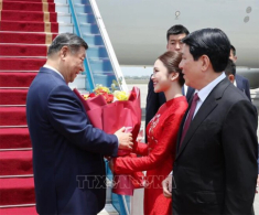 Chân dung cô gái Việt tặng hoa Chủ tịch Tập Cận Bình: Hoa khôi Ngoại giao tài sắc, trả lời phỏng vấn tiếng Trung đỉnh cao