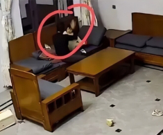 Bé gái 3 tuổi bị ông bà nội đánh liên tiếp, mẹ bất lực còn bố thờ ơ