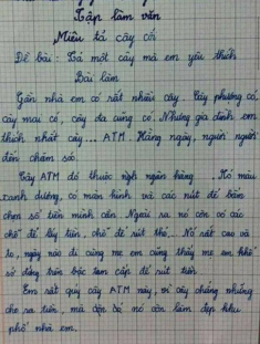Cô giáo ra đề văn tả cây cối, bé tiểu học kể về “cây cho ra tiền” khiến ai đọc cũng cười bể bụng