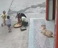 Khoảnh khắc thất kinh bé trai 3 tuổi đang chơi trước nhà thì bị chó dữ tấn công