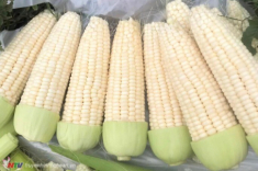 Làm ngô chiên nhiều người cho thêm bột năng, người thêm trứng vậy đâu mới là bí quyết để ngô giòn rụm, thơm nức mũi