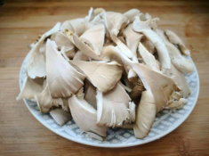 Loại rau là kho chứa kháng sinh tự nhiên đem xào với nấm được món thơm ngon, tươi giòn, bổ dưỡng