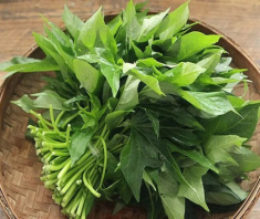 Loại rau xưa chỉ cho lợn ăn, nay thành đặc sản được ưa chuộng ở thành phố, xào hay làm bánh đều ngon