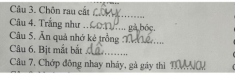 Loạt đáp án thành ngữ “Của ít, lòng…” của học sinh tiểu học khiến giáo viên “khóc thét”, dân mạng cười bò