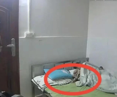 Mẹ bận việc để con lớn chăm em, kiểm tra camera thấy cảnh tượng trên giường ngủ mà xót xa