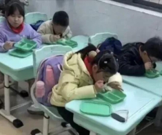Một nhân viên trường tiểu học gửi ảnh bữa trưa ra ngoài, hội phụ huynh lập tức kéo đến trường đòi kiện hiệu trưởng