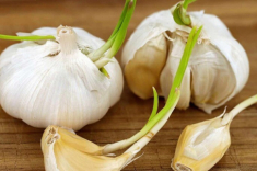 Mua tỏi, người thích củ mọc mầm vì mầm tỏi bổ, người chọn loại màu trắng tinh, chuyên gia nói 5 loại cần tránh ai cũng ngã ngửa