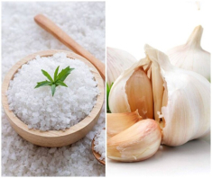 Trời nồm ẩm, nhét ngay thứ này vào túi tỏi để không mốc hỏng, tươi ngon như thường