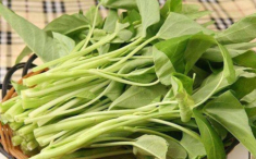 Xào rau muống đừng cho ngay vào chảo, ngâm với loại nước rẻ như cho này trong chậu, rau xanh mướt giòn ngon